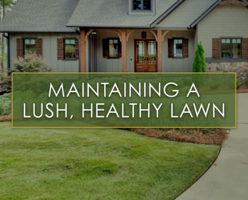 R&R Landscaping Auburn, AL lawn yard landscape architecture architect lee county