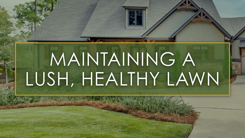 R&R Landscaping Auburn, AL lawn yard landscape architecture architect lee county