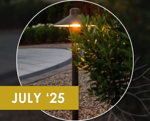 Lighting tips, showcasing a beautiful backyard that does it all, and discussing Zinnia plants. A newsletter presented by R&R Landscaping.