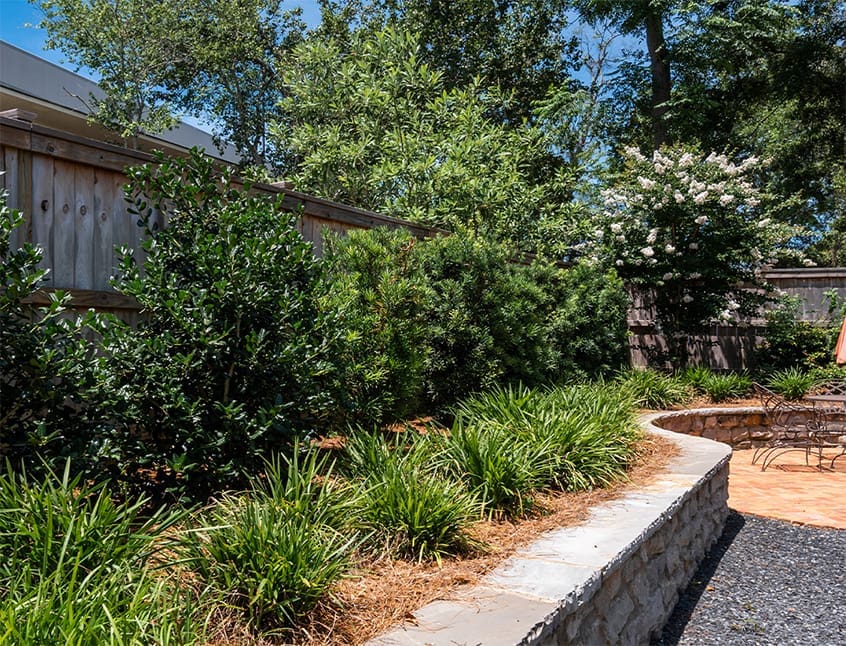 How to use plants as tools, showcasing a beautiful backyard that does it all, and discussing Zinnia plants. A newsletter presented by R&R Landscaping.