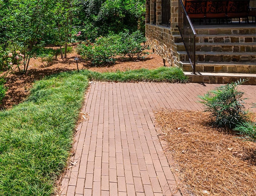 How to use plants as tools, showcasing a beautiful backyard that does it all, and discussing Zinnia plants. A newsletter presented by R&R Landscaping.