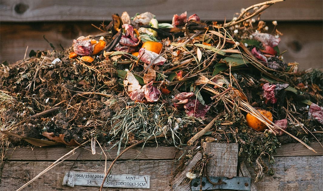 Compost 101, an insightful newsletter from R&R Landscaping