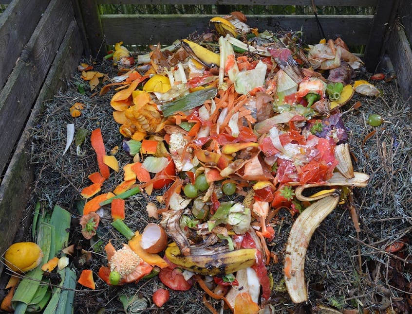 Compost 101, an insightful newsletter from R&R Landscaping