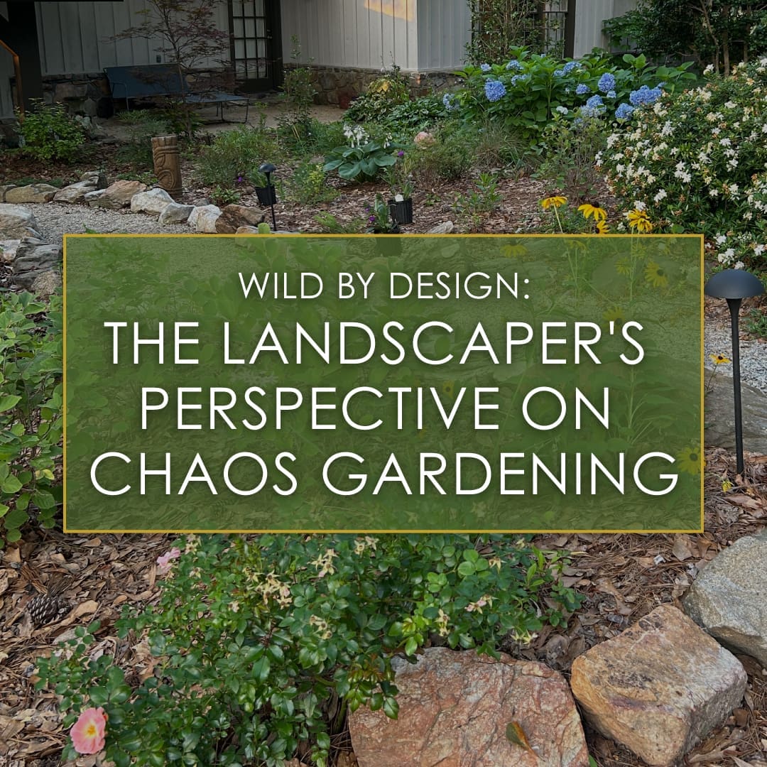 Wild by design, the landscaper's perspective on chaos gardening, a blog post by R&R Landscaping