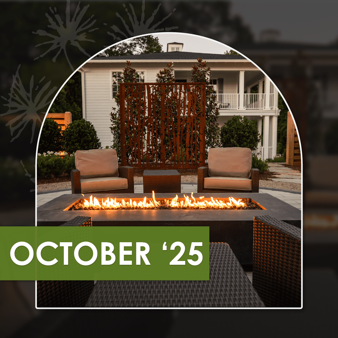 A Lawn-Free Oasis, Fire Features That Spark Joy, and Our Sip of the Season, a new newsletter from R&R Landscaping